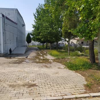 Kemalpaşa Belediyesi (İzmir) Kapalı Spor Salonu Bakim