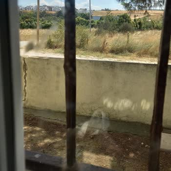 Lapseki Belediyesi Bahçemde Hasta Kedi, Belediye İlgilenmiyor