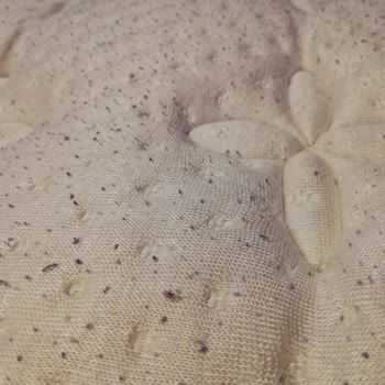 Yatsan Serta Perfect Sleeper Twin Lateks Ve Visco Yatak Tüylenme Yapıyor