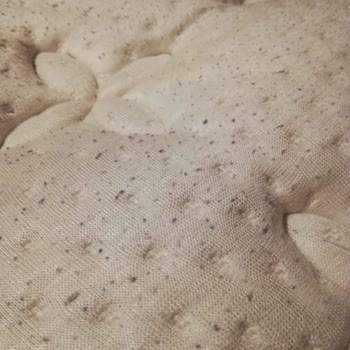 Yatsan Serta Perfect Sleeper Twin Lateks Ve Visco Yatak Tüylenme Yapıyor