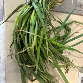 Migros Sanal Market Çürük Ürün Gönderdi