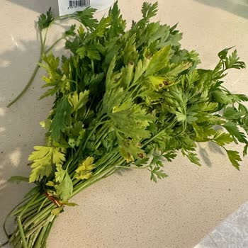 Migros Sanal Market Çürük Ürün Gönderdi