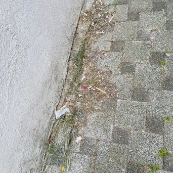 Bth Bina Tesis Hizmetleri Kötü Temizlik Kötü Yönetim