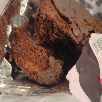 Torku Kek İçinden Kurt Çıktı