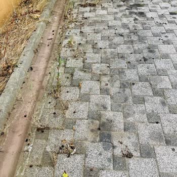 Bth Bina Tesis Hizmetleri Apartman Temizliği Yetersiz Özensiz Oluşu