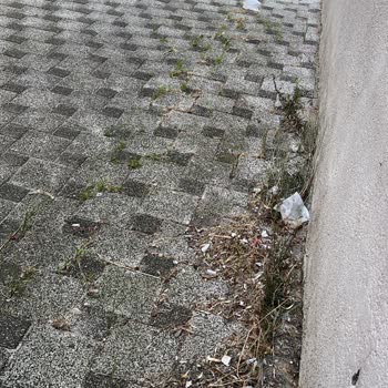 Bth Bina Tesis Hizmetleri Apartman Temizliği Yetersiz Özensiz Oluşu