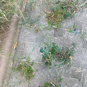 Bth Bina Tesis Hizmetleri Apartman Temizliği Yetersiz Özensiz Oluşu