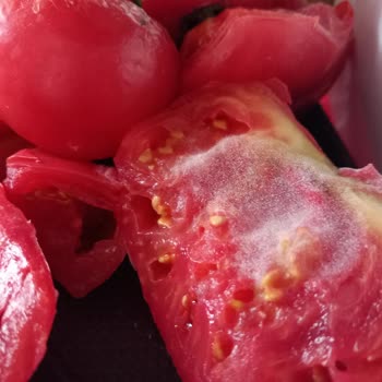 Arçelik No Frost Buzdolabı Alalı 7 Ay Oldu, Soğutmuyor