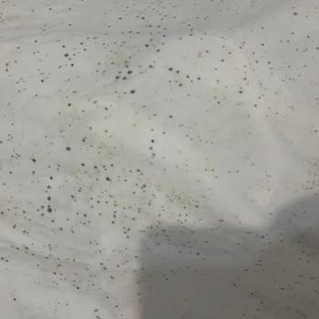 Altus Çamaşır Makine Sorunum