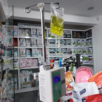 Clubvet Hayvan Hastanesi Çalışanları Kötü Tedaviyi Yarıda Bırakıyorlar