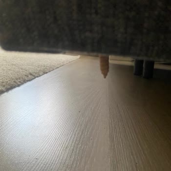 Vivense Luna Baza Ayağı Kırıldı