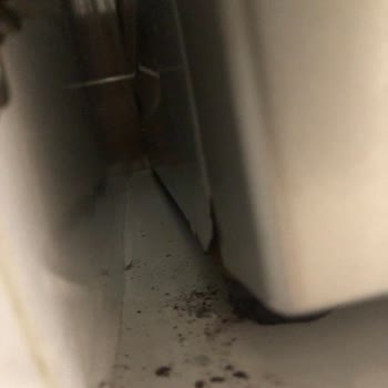 Arçelik Çamaşır Makinesi Diş Gövde Küflenme Ve Kabarma