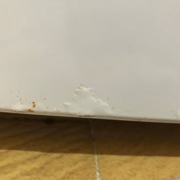 Bosch Buzdolabı Boya Kabarması