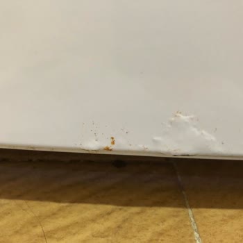 Bosch Buzdolabı Boya Kabarması