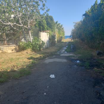 Elbis Hotel Altınoluk Otel De Lağım Kokusu Var.