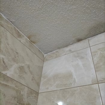 Eureko Sigorta Sigortanın Sigortalıyı Mağdur Etmesi