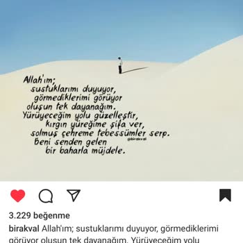 Instagram Reels Sekmesi Yok