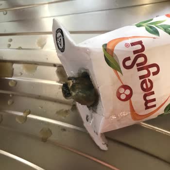 Meysu İçinden Çıkan Parça