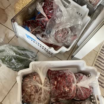 Arçelik Derin Dondurucu Arızası