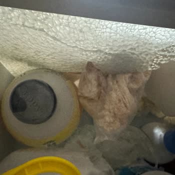 Arçelik 574560 Eı Buzdolabı