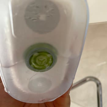 Brita Sürahi İç Haznesi Yosun Tuttu