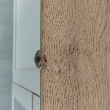 Doğtaş Mobilya Ürününe Sahip Çıkmıyor