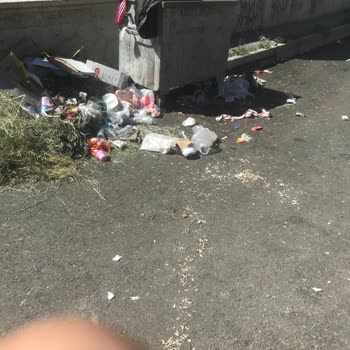 Aziziye Belediyesi Tarafından Çöpler Alınmıyor