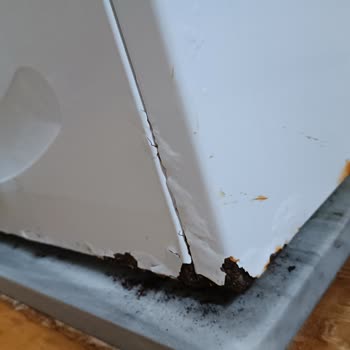 Bosch Çamaşır Makinesi Pas Yaptı