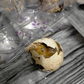 Sok Market Ürünleri