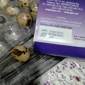 Sok Market Ürünleri