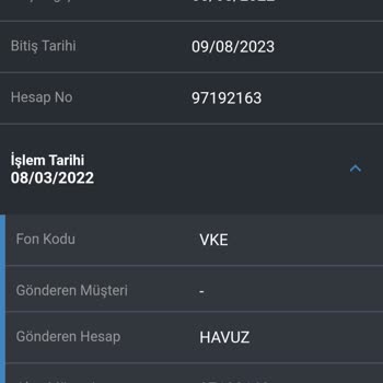 BES Ödememi Alamıyorum Türkiye Hayat Ve Emeklilik A. S.