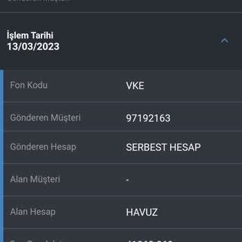BES Ödememi Alamıyorum Türkiye Hayat Ve Emeklilik A. S.