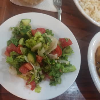 Rota Parking Dinlenme Tesisi Yemek Sektörü, Dinlenme Tesisleri, Otobüs Firmaları