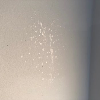 Yapı Temizlik İzmir Evimi Mahvetti