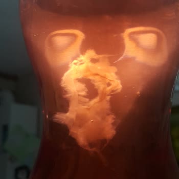 Meysu Gül Şerbeti Pamuksu Yabancı Madde