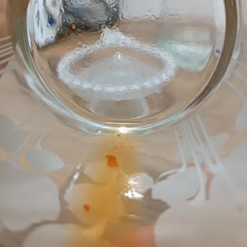 Cappy Bozuk Olan Ürünün Arkasında Durmuyor