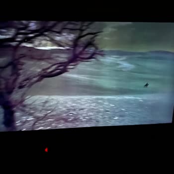 LG Türkiye Ayıplı Malının Değişimini Yapmıyor