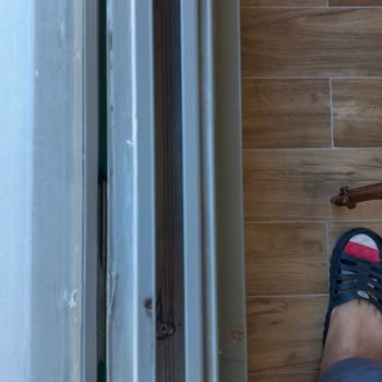 "Albert Genau" Yu Seçtiğimiz İçin Çok Pişmanız!