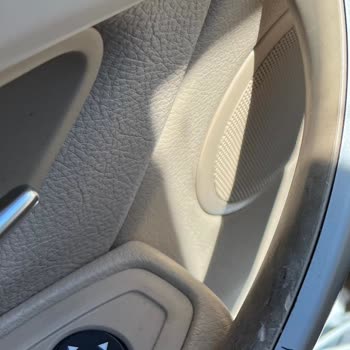 Interior Door Handle Melting on my 2016 BMW 320