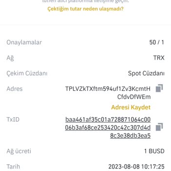 BTCTURK'e Trc Ağı İle Busd Gönderme