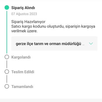 Dolap Sitesinin Güvenilirsizliği