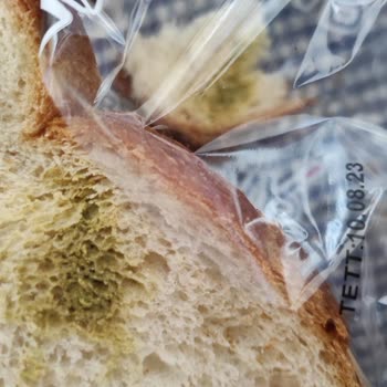 BİM Küflenmiş Ürün Satılması