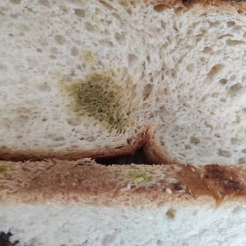 BİM Küflenmiş Ürün Satılması