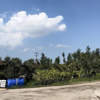 Patrimonio Travel 4 Bin Lira Paramızı Aldı