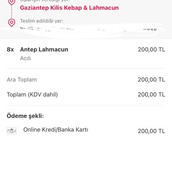 Yemek Sepeti Yemeğin İçinden Kıl Çıktı