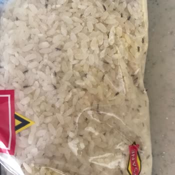 BİM Marketten Aldığım Pirinçten Böcekler Çıktı
