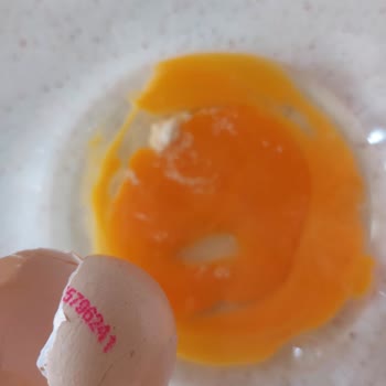 Migros Raya Organik Yumurta Bozuk Çıktı