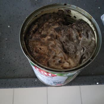 Tat Gıda Tat Salca Küflü Ve Böcekli