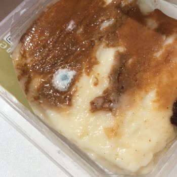 A101 Hanımdan Marka Küflü Kazandibi