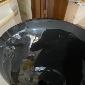 Avansas Müşteri Hizmetleri Çözüm Odaklı Değiller